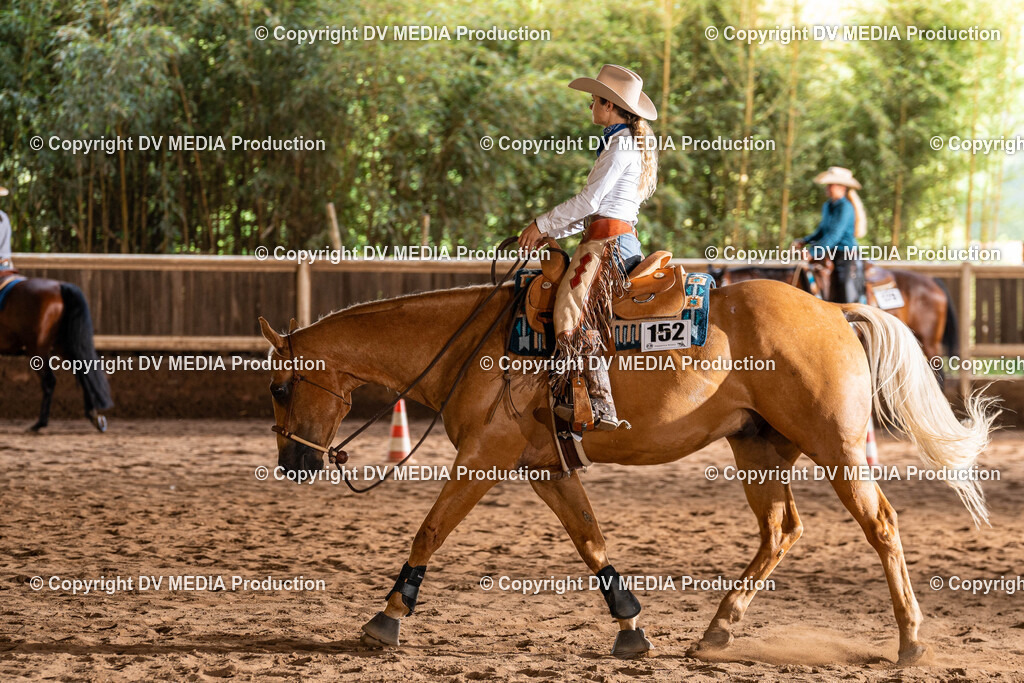 Erbach Tag 1-1003 | dv-media-shop - Realisiert mit Pictrs.com