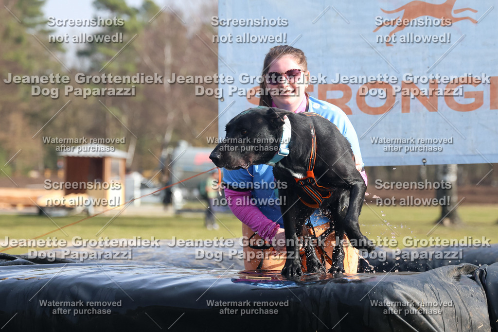 Dog Paparazzi - Strongdog North Mrz26-1736 | Dog Paparazzi Jeanette Grottendiek Fotografie & Videografie - Realisiert mit Pictrs.com