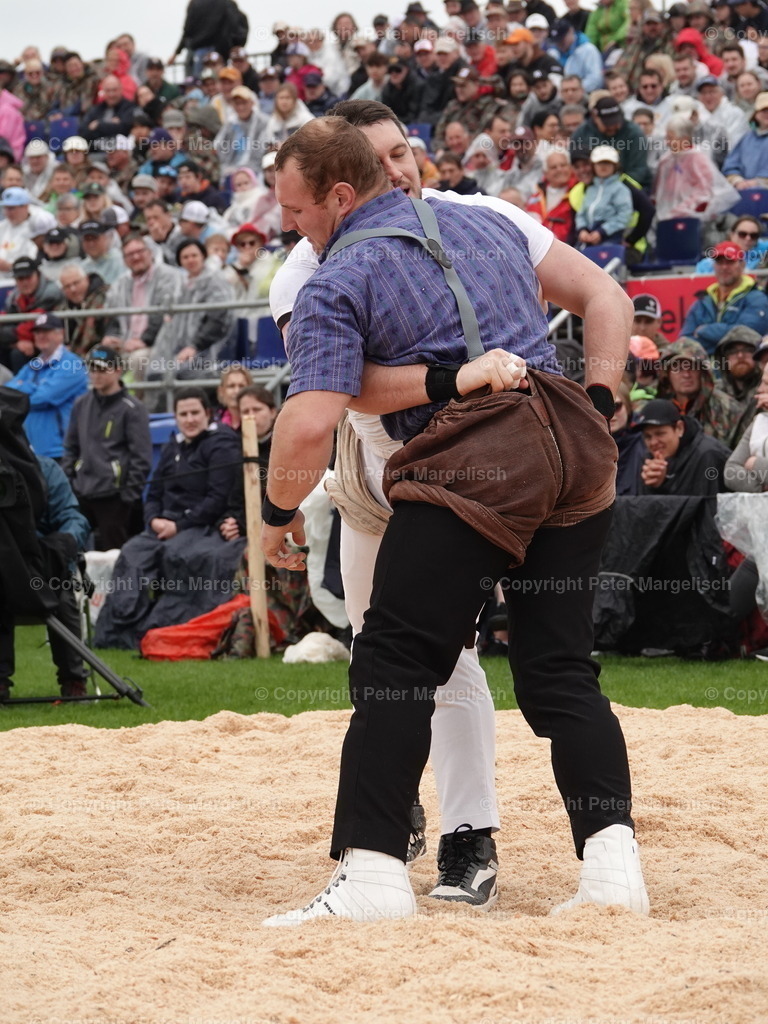 DSC06340 | Schwingen - Realisiert mit Pictrs.com