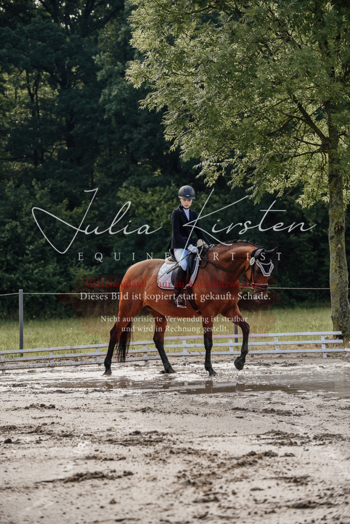 DSC_8091 | Pferde- und Turnierfotografie in Westsachsen. Pferdeportraits, Auftragszeichnungen und intuitive Kunst.