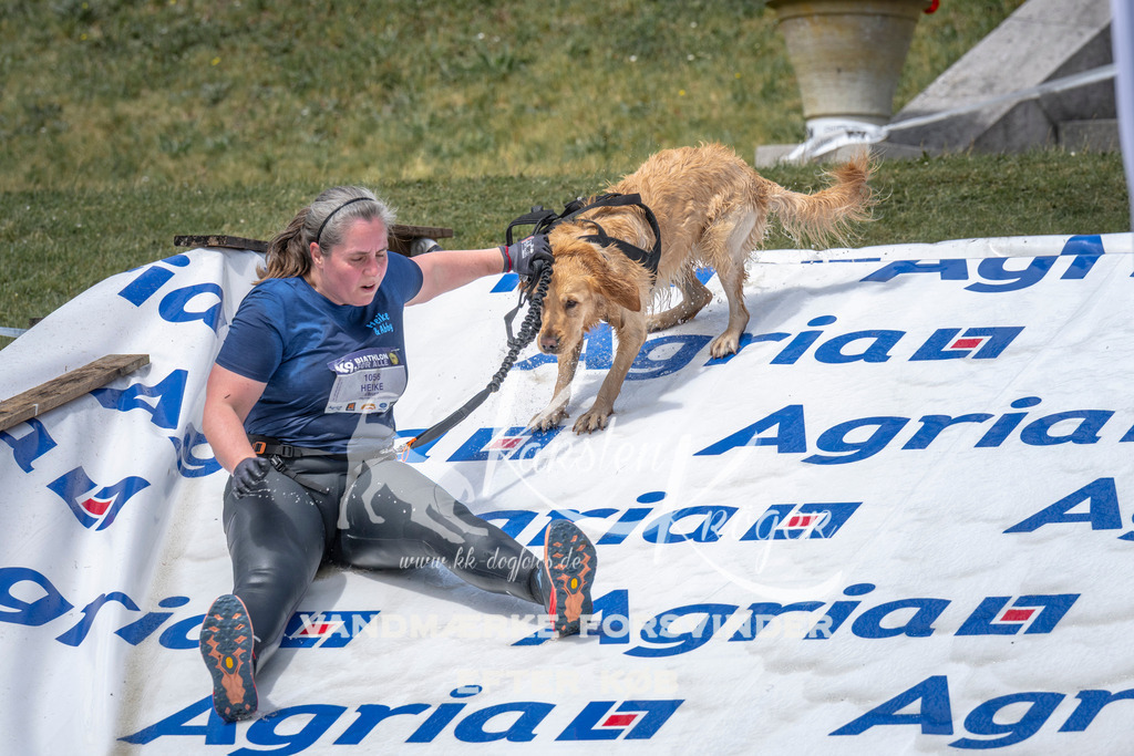 1204_ZZ95205 | kk-dogfotos