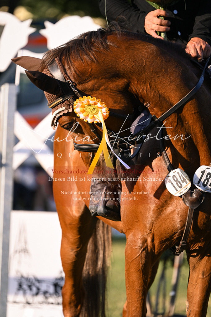 DSC_1869 | Pferde- und Turnierfotografie in Westsachsen. Pferdeportraits, Auftragszeichnungen und intuitive Kunst.