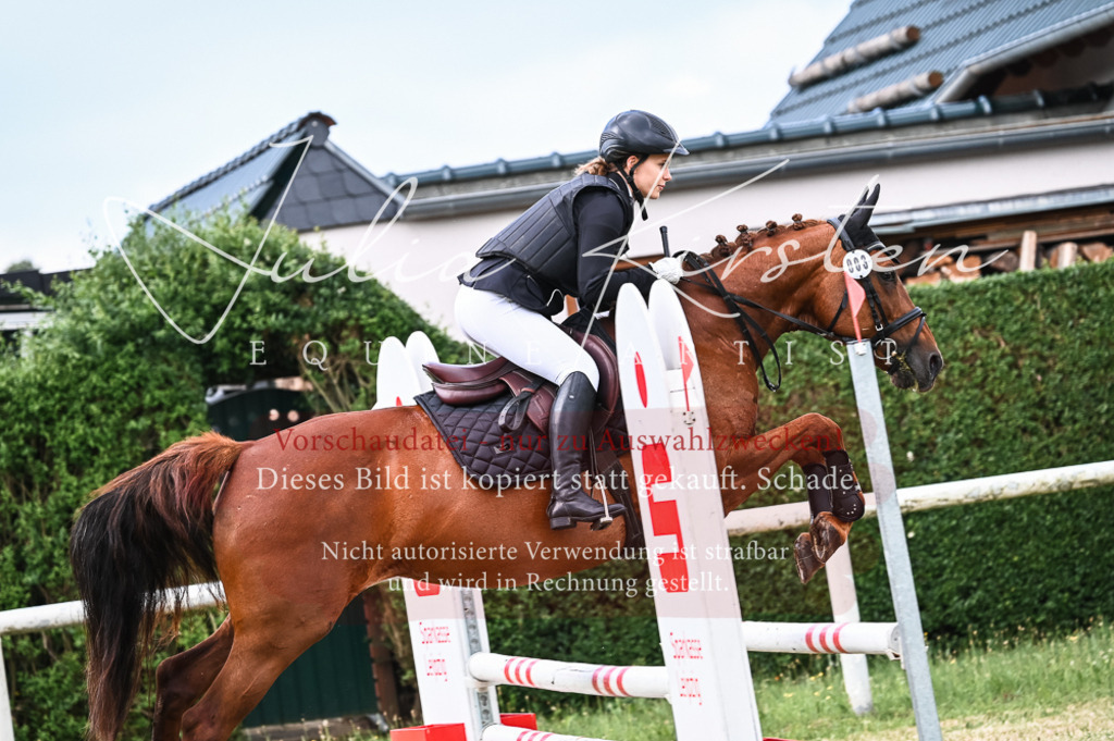 DSC_8203 | Pferde- und Turnierfotografie in Westsachsen. Pferdeportraits, Auftragszeichnungen und intuitive Kunst.