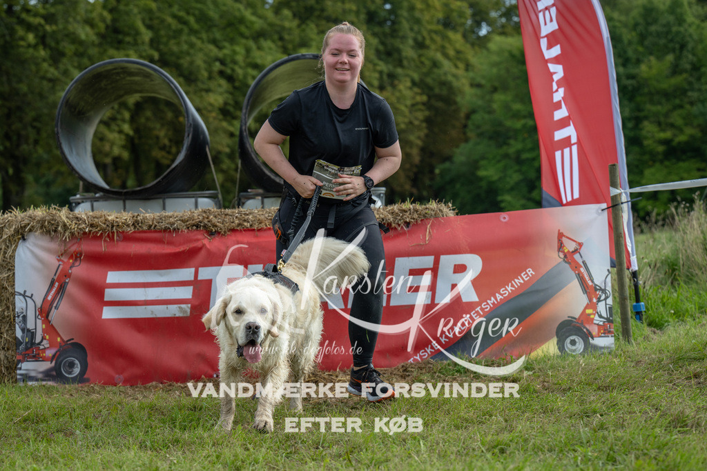 0950_ZZ91330 | kk-dogfotos