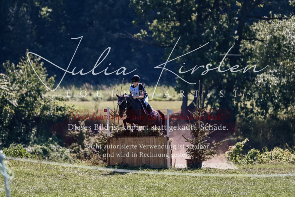 DSC_1916 | Pferde- und Turnierfotografie in Westsachsen. Pferdeportraits, Auftragszeichnungen und intuitive Kunst.