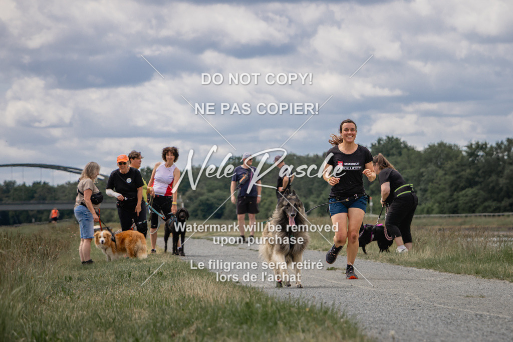 nelerasche_BuHu2026_SaCC1100-1200_211 | nelerasche