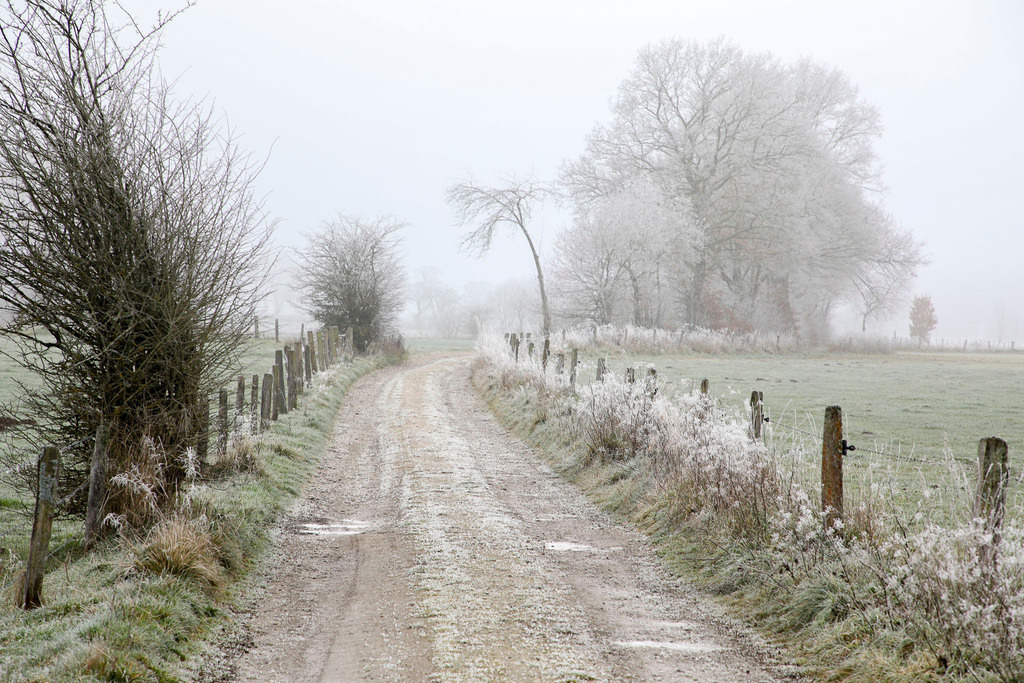 Raureif_Weisten_101222_10 | Bildergalerie von Sport-Ereignissen aber auch von weiteren spannenden Dingen - nicht nur vom Niederrhein. In Anlehnung an den bekannten Spruch von Hanns Dieter Hüsch heißt das Motto: "Niederrhein ist überall".  - Realisiert mit Pictrs.com