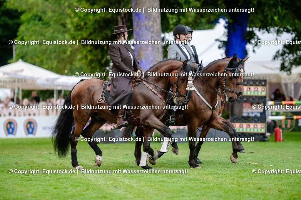 20250606_Lange-Pferdenacht_0617 | Foto: Thomas Hartig