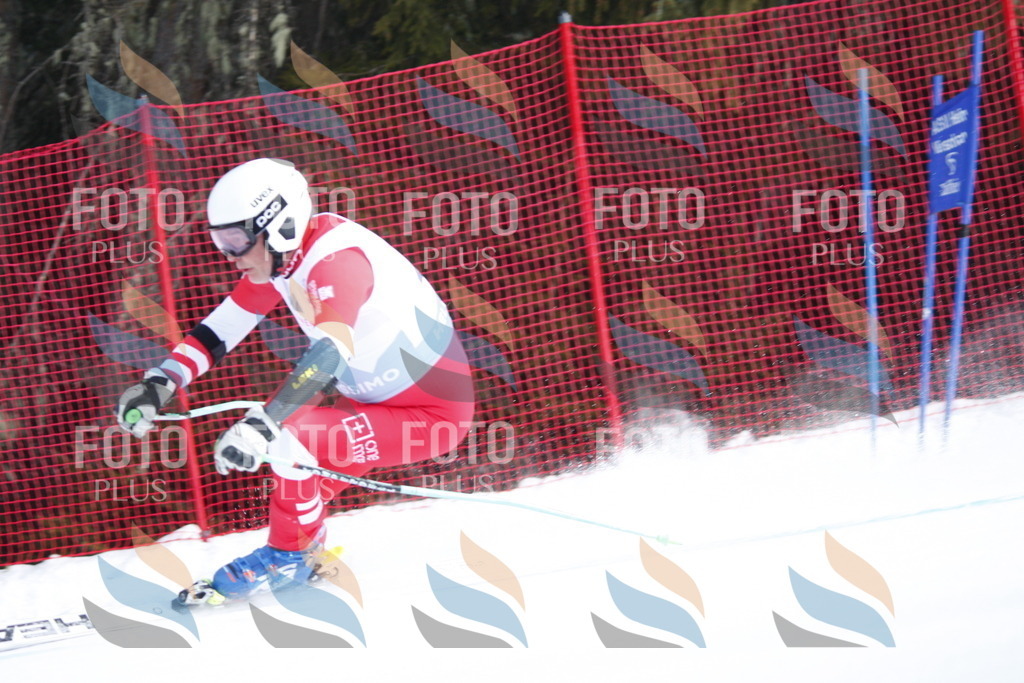 D5323 | holidayphoto