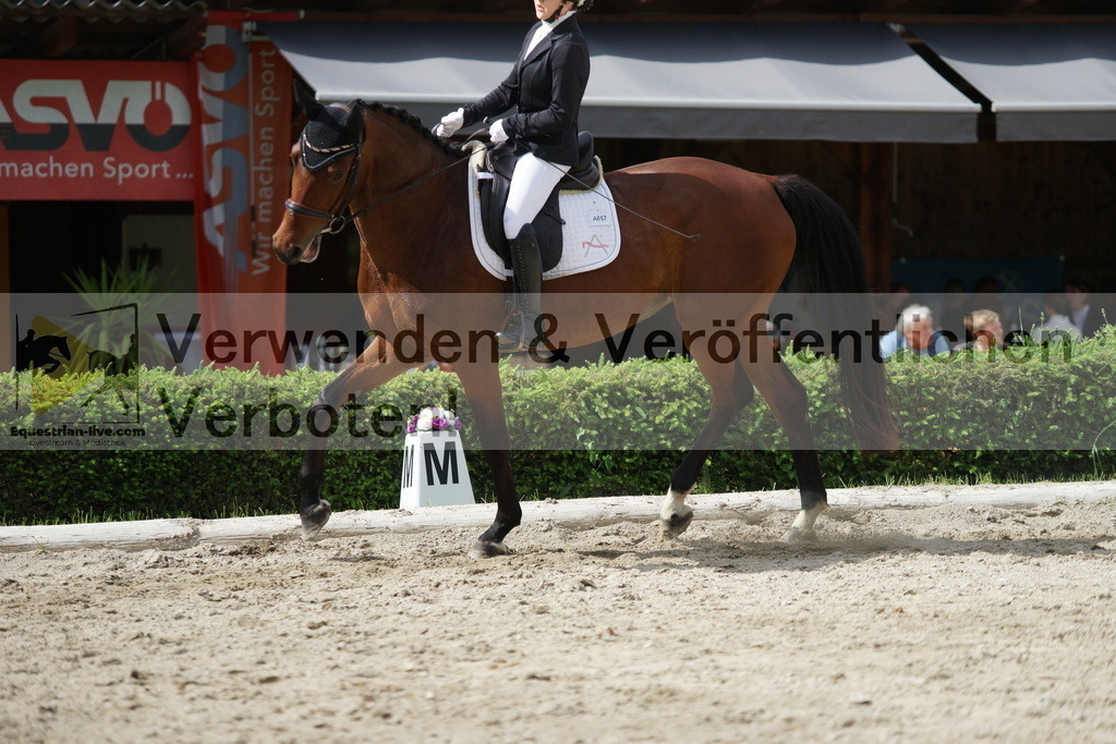 DSC05465 | equestrian-live-com
