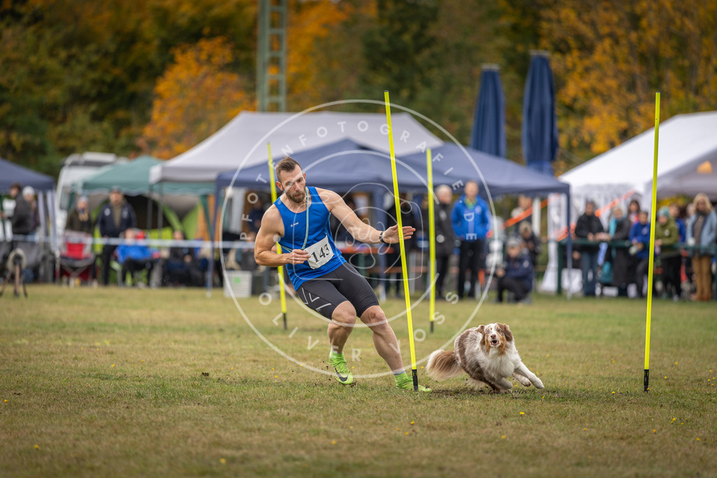 Pfotenfotografie_DV3A7992 | Hundefotografie, Tierfotograf, Pfotenfotografie, Fotoshooting Hund, Hunde Portrait, Hundesport, Hundeportraits, Heideshooting, Hunde, Sportfotograf, Hundefotograf, Turnierhundsport, THS,  - Realisiert mit Pictrs.com