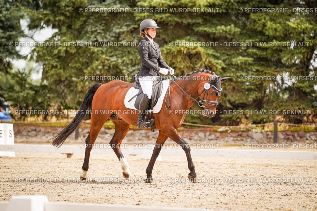 DSC01932 | Pferdegrafie