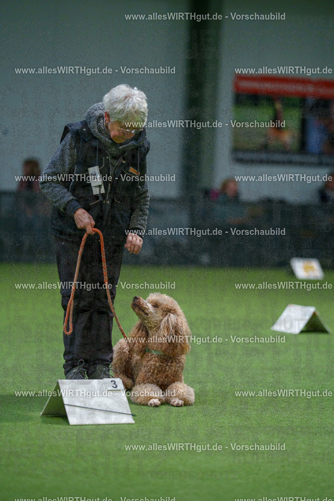 7R500247 | Professionelle Tierfotografie in Mönchengladbach von Daniel Wirth (allesWIRTHgut). Liebevolle & natürliche Bilder von Hunden & Katzen für unvergessliche Erinnerungen.