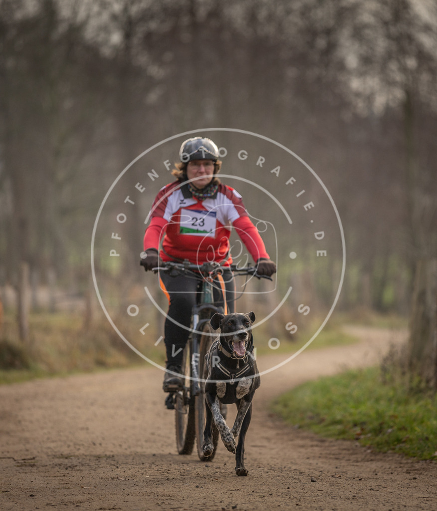Pfotenfotografie_DV3A1987 | Hundefotografie, Tierfotograf, Pfotenfotografie, Fotoshooting Hund, Hunde Portrait, Hundesport, Hundeportraits, Heideshooting, Hunde, Sportfotograf, Hundefotograf, Turnierhundsport, THS,  - Realisiert mit Pictrs.com