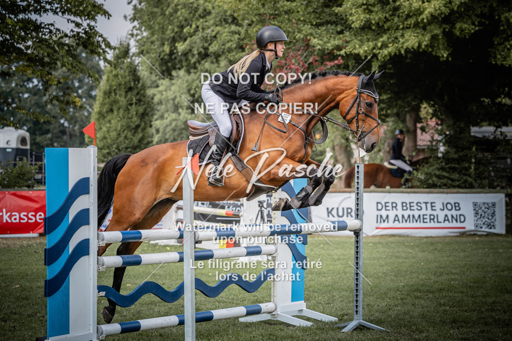 nelerasche_SprL__110Ede_13 | nelerasche