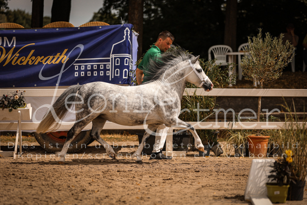 04.So00048 | Leoni Ertmer Photography - Realisiert mit Pictrs.com