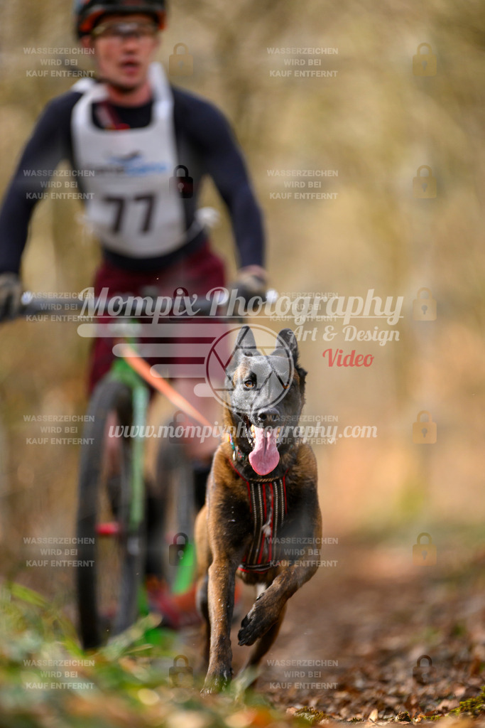 MompixPhotography_ReiatRennen2024_SO_DS1-23 | PayLife