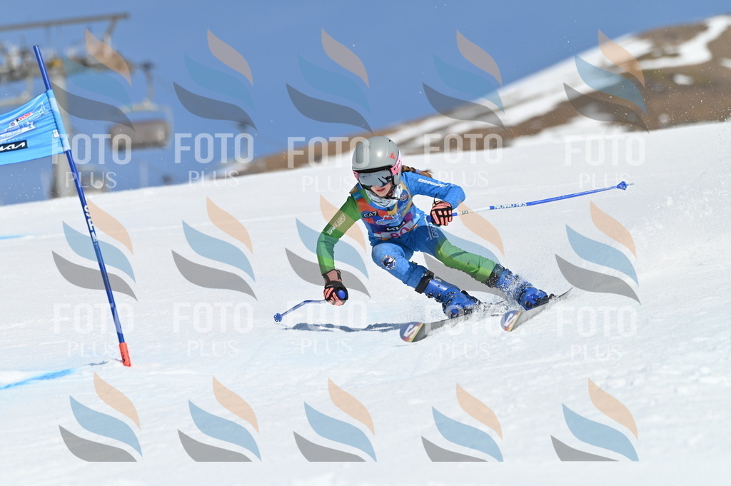 BGV_9065 | holidayphoto