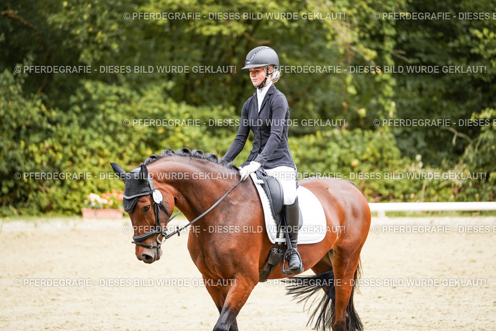 DSC00541 | Pferdegrafie