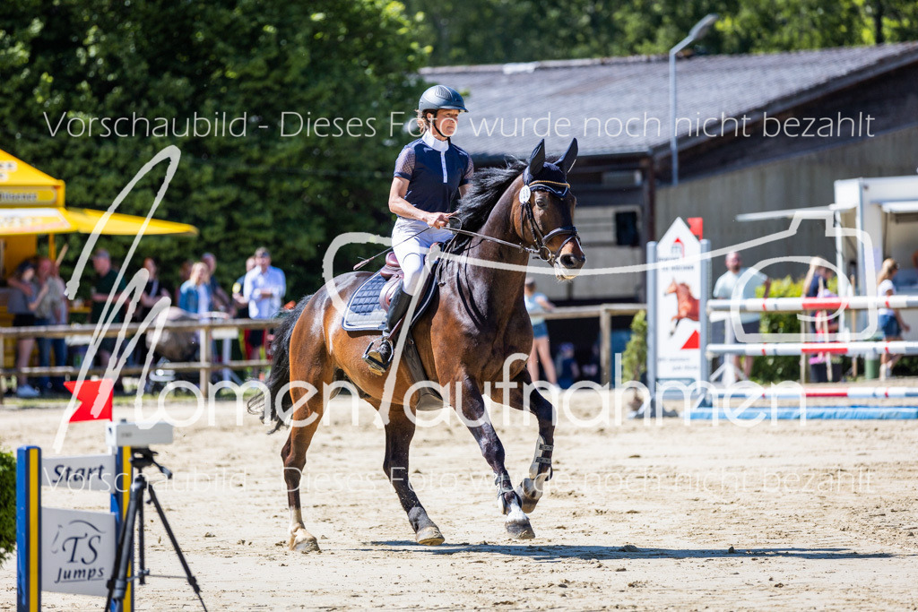 Donop24-M-Spr-036 | MomenTaufnahmen Pferdesportfotos