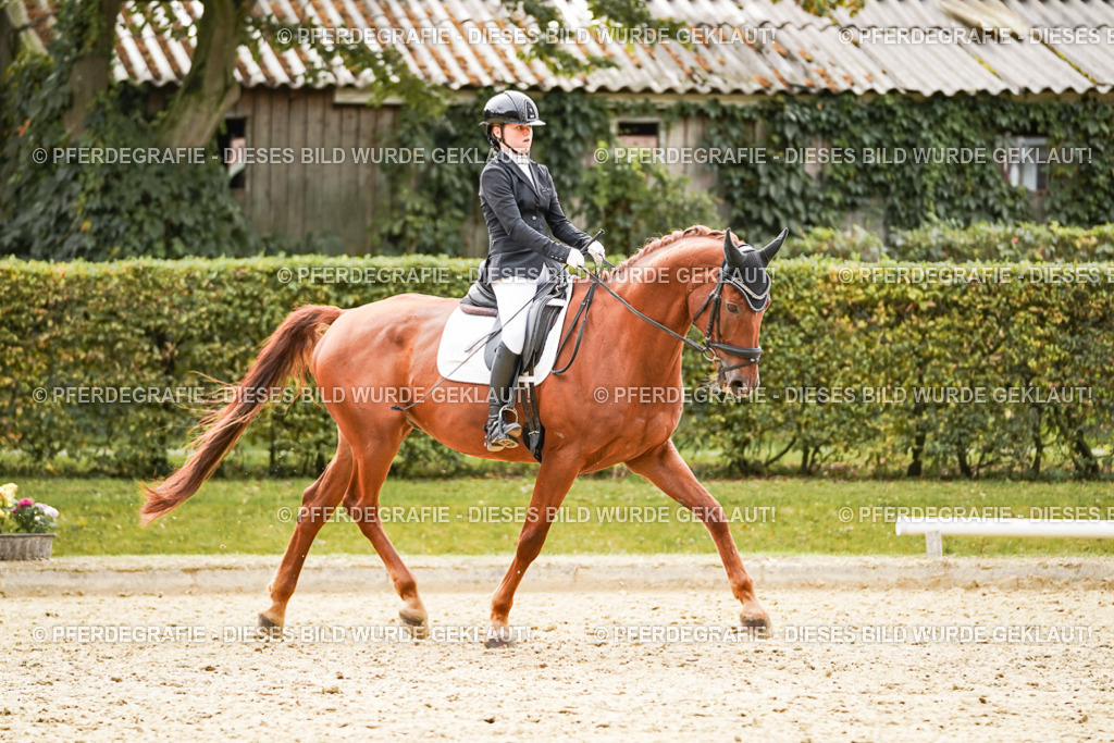 DSC01793 | Pferdegrafie