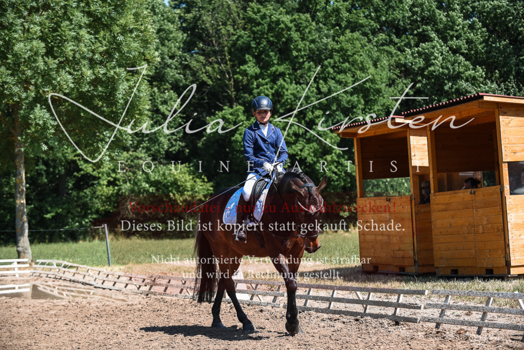 DSC_3395 | Pferde- und Turnierfotografie in Westsachsen. Pferdeportraits, Auftragszeichnungen und intuitive Kunst.