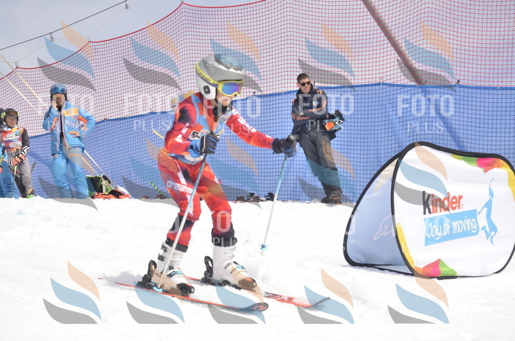 _ELE8685 | holidayphoto