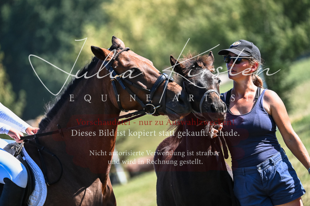 DSC_7019 | Pferde- und Turnierfotografie in Westsachsen. Pferdeportraits, Auftragszeichnungen und intuitive Kunst.