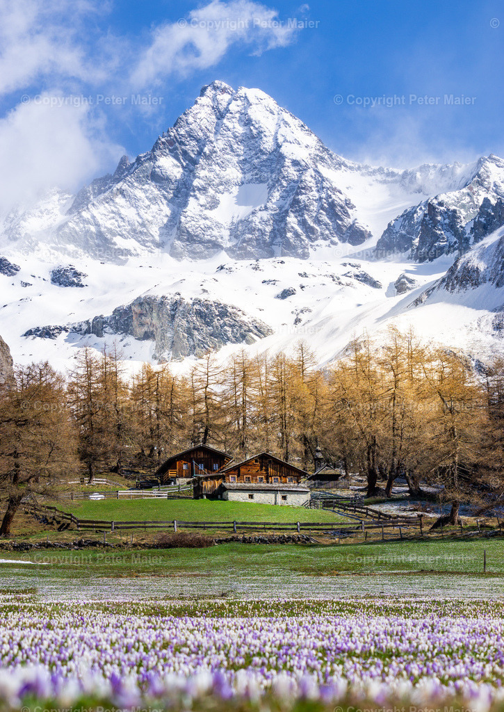 Frühling_Kals_Lucknerhaus_2020-23 | piet_flosse