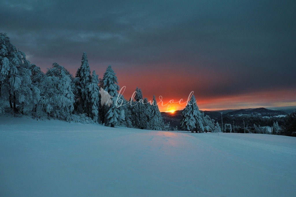 Natur_00013 | Sportbilder, Sportfotograf, Hochzeits- und Eventfotografin, Flugshows, Portraits und Tiershooting, Aviation, Downhill, Nationalleague, Swissleague, International