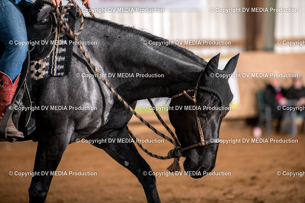 Balingen Tag 2-1336 | dv-media-shop - Realisiert mit Pictrs.com