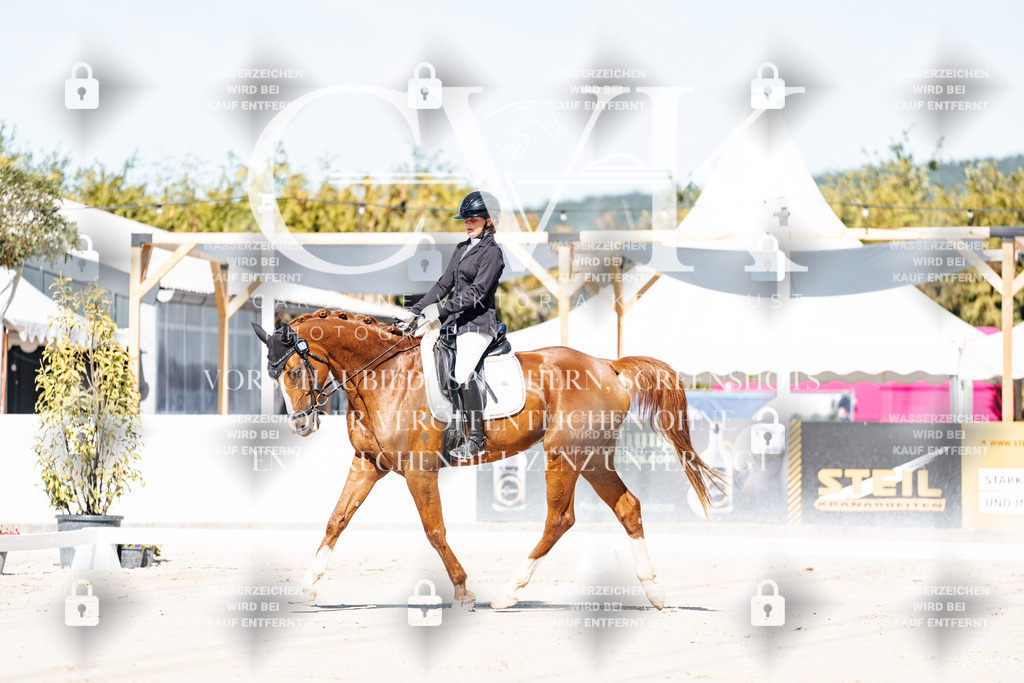 CK908910 | Turnierfotografie Pferdefotografie Trier Rheinland-Pfalz Pferdesport Reitsport Tierfotografie Sportfotografie Pferdevideo Pferdevideografie Equestrianvideography equestrianphotography  - Realisiert mit Pictrs.com