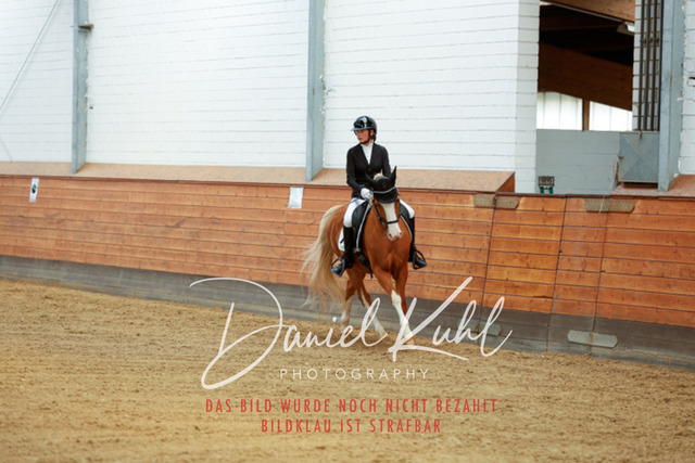 _62_5229 | Turniersportfotografie; Pferdefotografie; Dressurfotografie