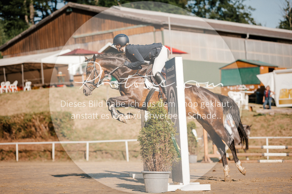 3I6A6271 | Stimmungsvolle Portraits und Reitsportfotografie im Ruhrgebiet und im Münsterland.

Pferdefotografie, Hundefotografie, Tierfotografie, Reportagen, Portraits von Tier und Mensch, Turnierfotografie in Bochum, Recklinghausen, Marl, Haltern am See, Dülmen.. - Realisiert mit Pictrs.com