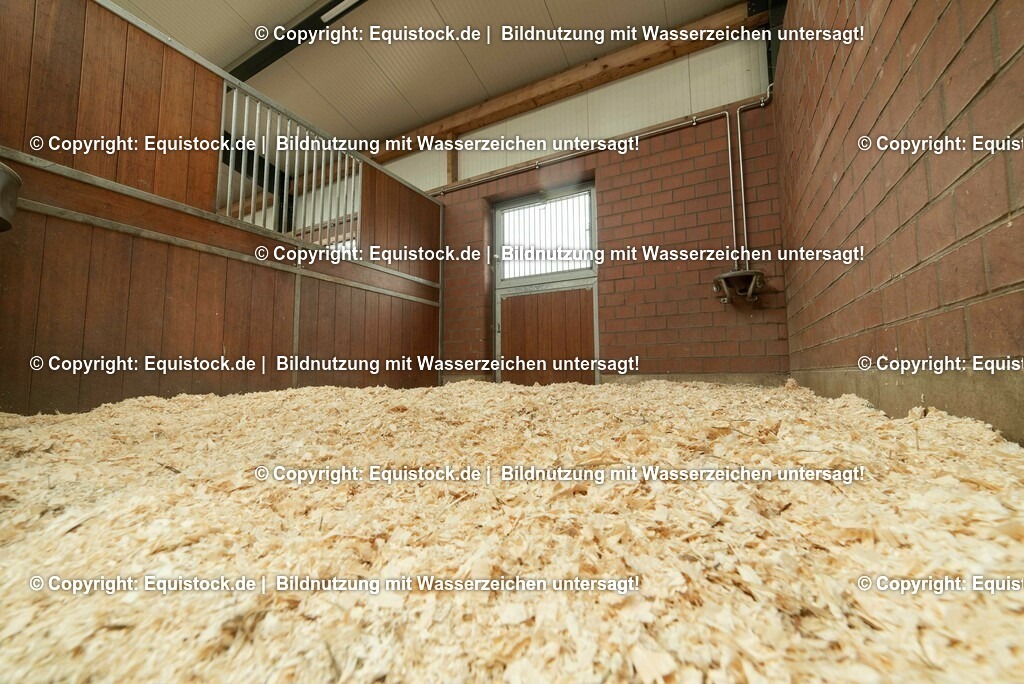 20190409_Einstreu_in_Pferdebox_0081 | Foto: Thomas Hartig