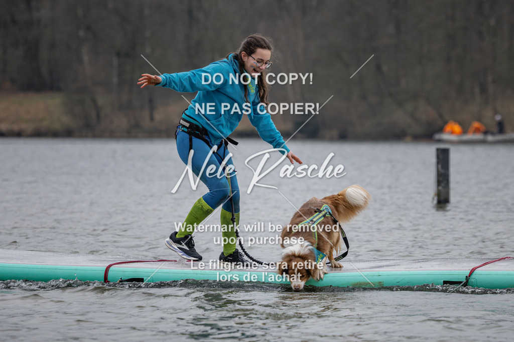 nelerasche_Hulsbeek_Sa1430-1515_98 | nelerasche