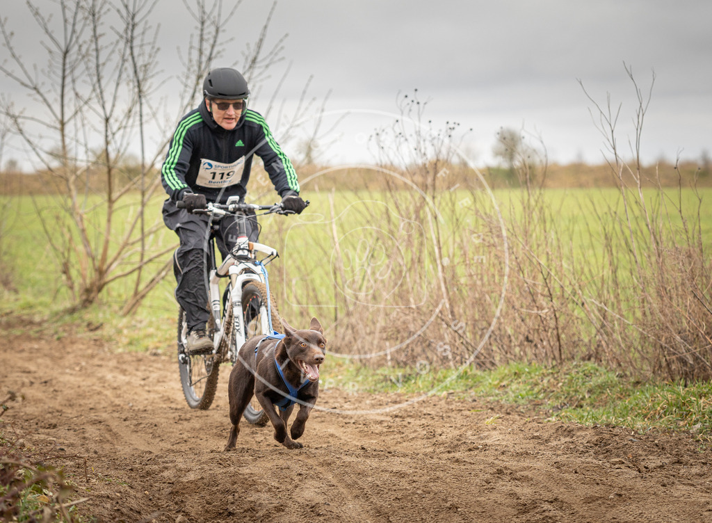 DV3A0897 | Hundefotografie, Tierfotograf, Pfotenfotografie, Fotoshooting Hund, Hunde Portrait, Hundesport, Hundeportraits, Heideshooting, Hunde, Sportfotograf, Hundefotograf, Turnierhundsport, THS,  - Realisiert mit Pictrs.com