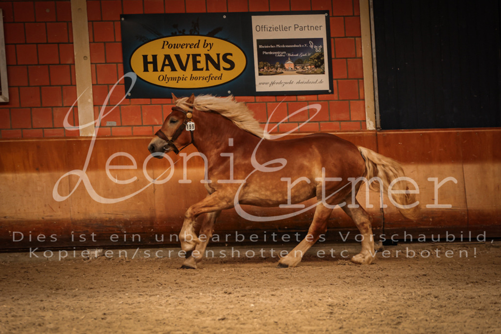 SaFL00412 | Leoni Ertmer Photography - Realisiert mit Pictrs.com