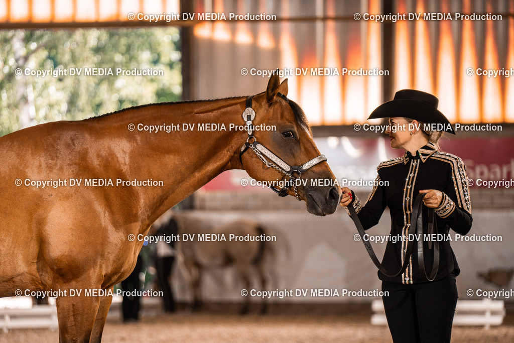 ZH100055 | dv-media-shop - Realisiert mit Pictrs.com