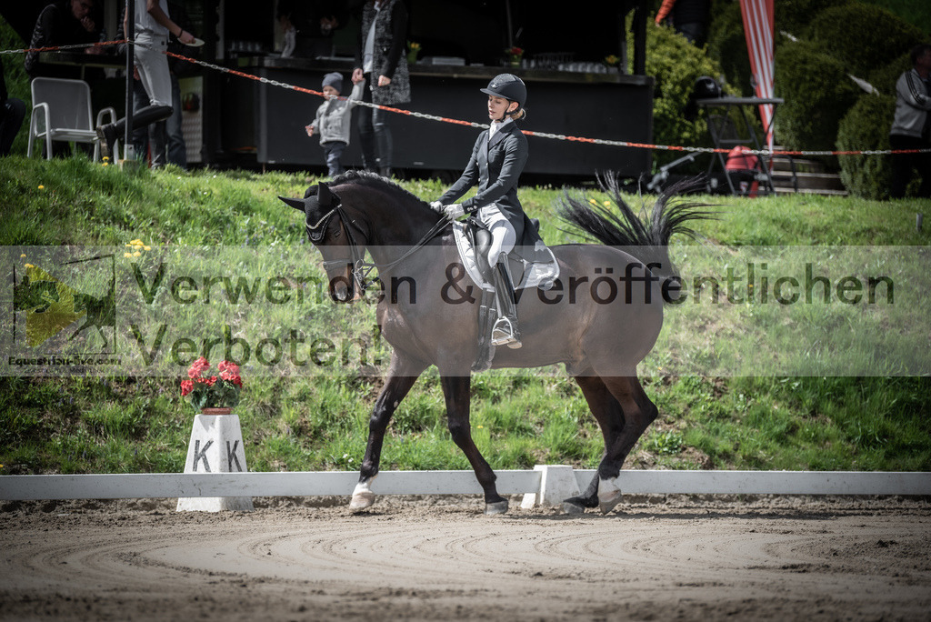 DSC_2307 | equestrian-live-com