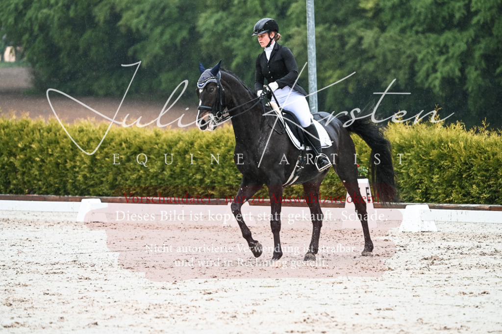 DSC_4511 | Pferde- und Turnierfotografie in Westsachsen. Pferdeportraits, Auftragszeichnungen und intuitive Kunst.