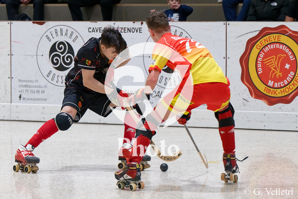 DSC_7799 | Velletri Photo