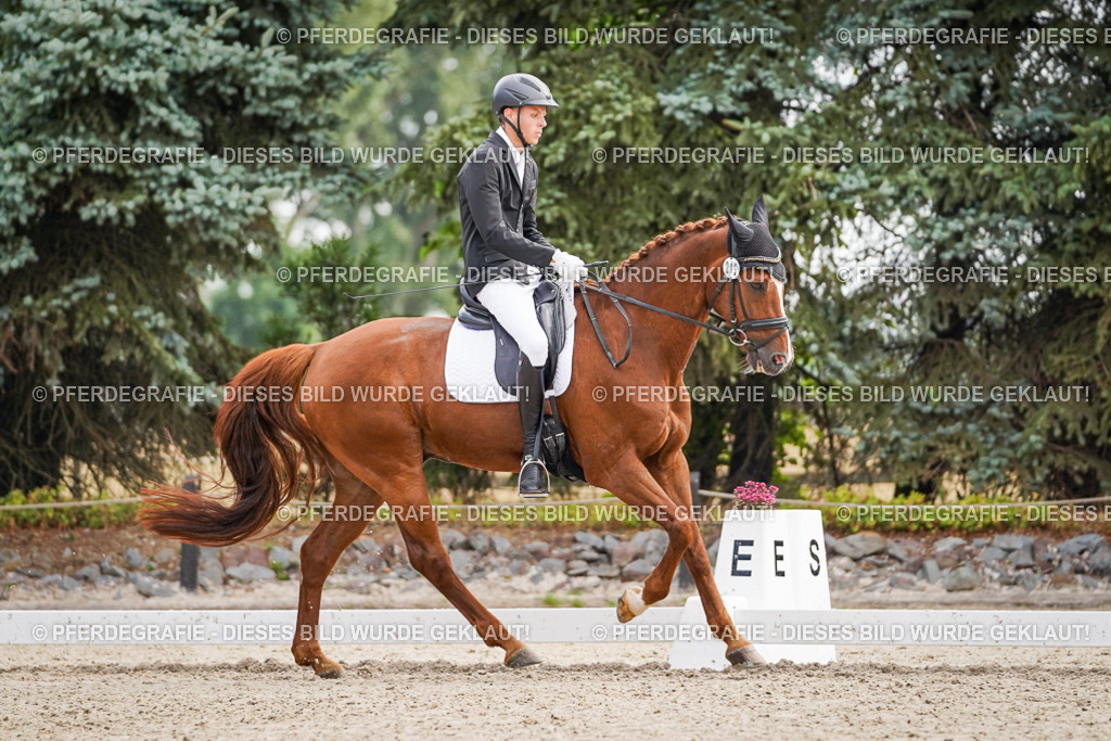 DSC01583 | Pferdegrafie