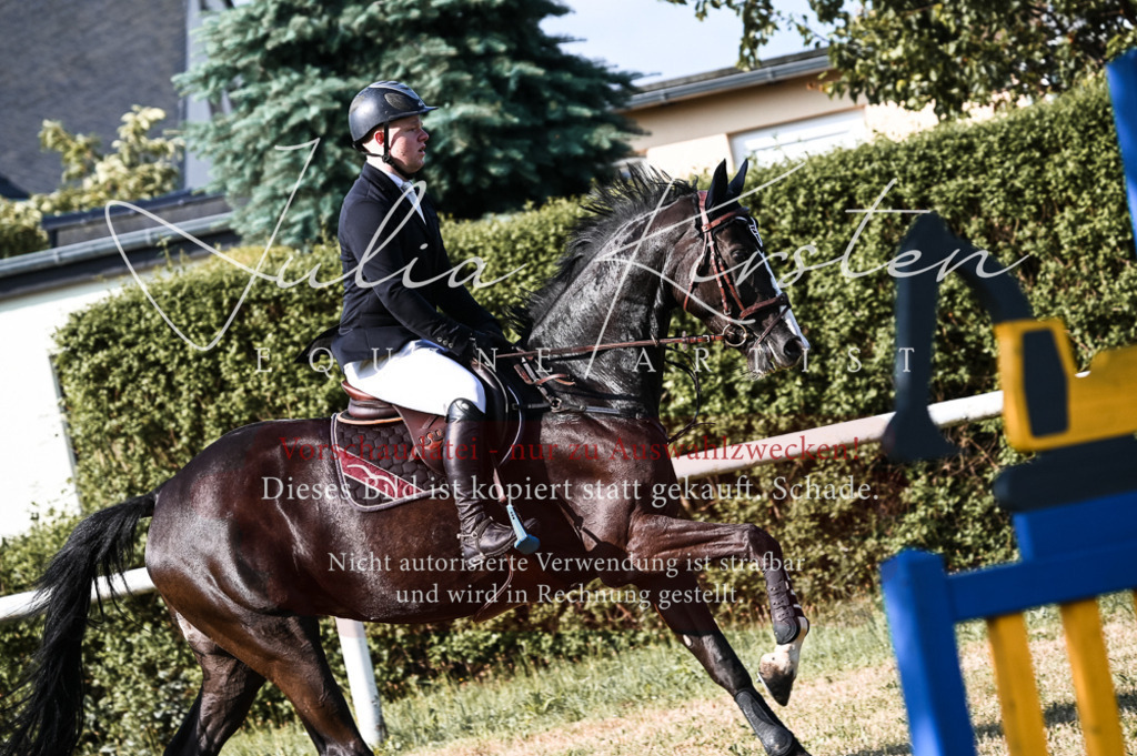 DSC_7540 | Pferde- und Turnierfotografie in Westsachsen. Pferdeportraits, Auftragszeichnungen und intuitive Kunst.