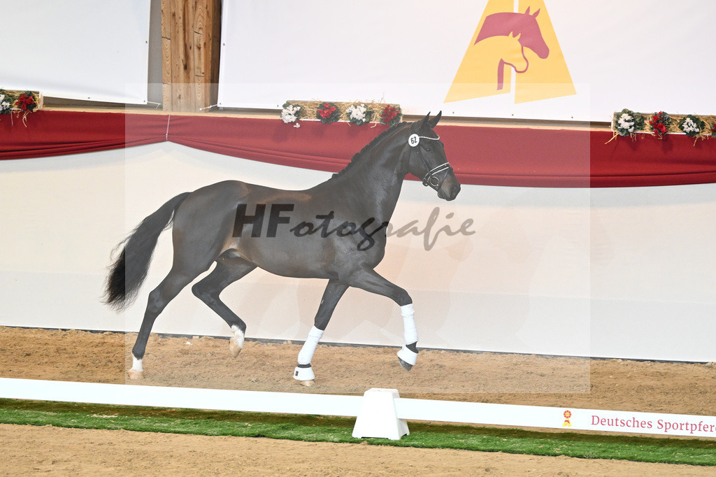 Kat-Nr. 62 Le Formidable_Rothenberger_1230366 | hf-fotografie - Realisiert mit Pictrs.com