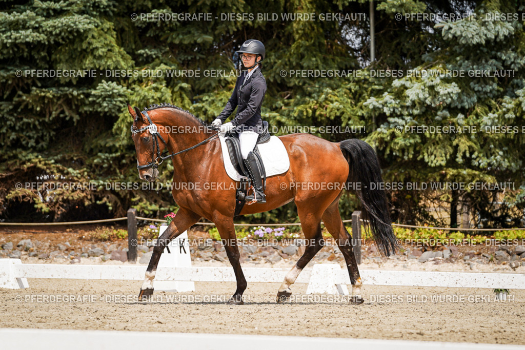 DSC02698 | Pferdegrafie