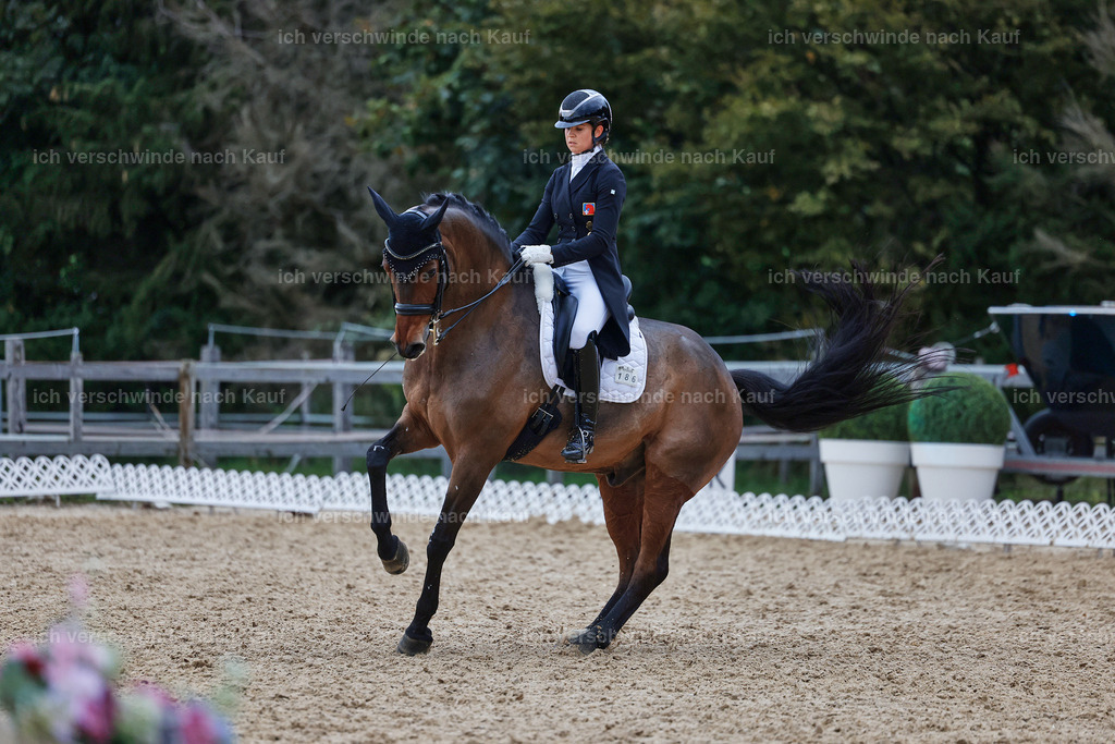 12-186-DRESSUR  S___  -StoibPH-5385 | working equitationturnier fotograf videograf stoibphotography marixx film working equitation deutschland reitsport turnierfotografie eventfotografie equestrian events