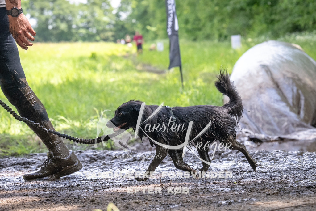 1311_ZZ90406 | kk-dogfotos