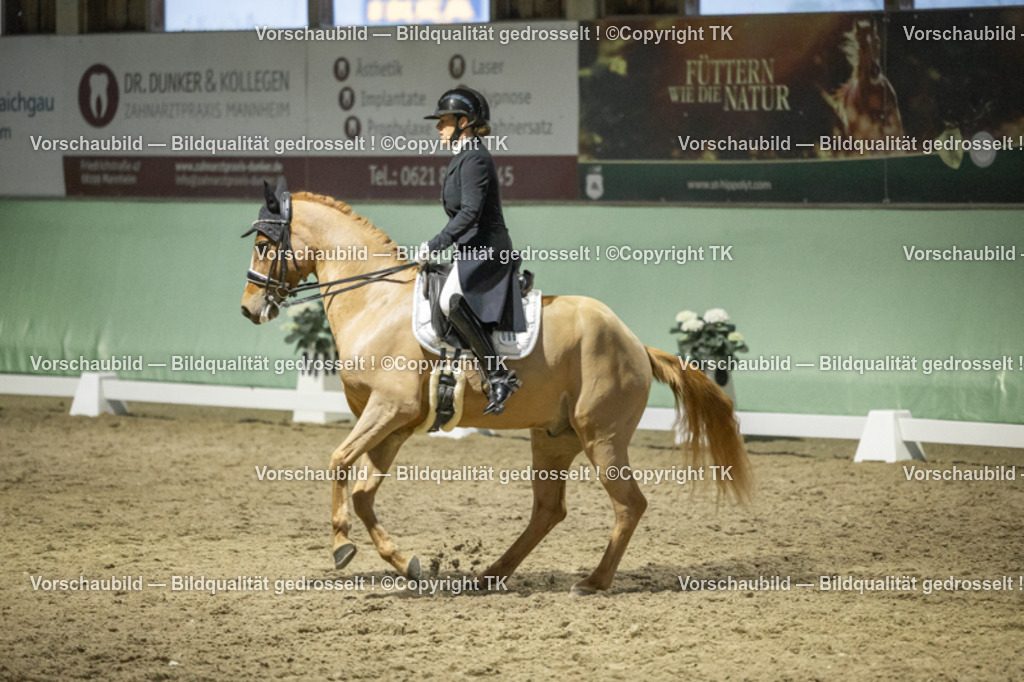 _D5A7243 | Emotionale Pferde- & People-Fotografie rund um Heidelberg, Leimen & Umgebung. Natürliche Fotos von Pferd, Mensch & Familie. Jetzt Termin sichern!