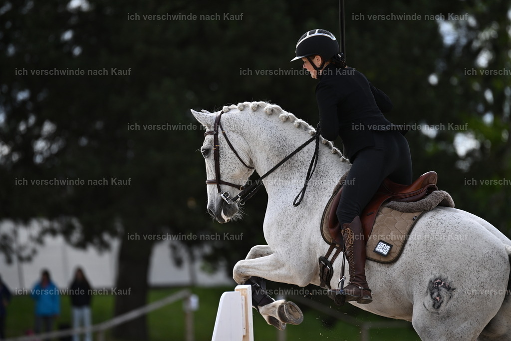 PI26_ST_Sara_Landvogt226_2324.JPG | working equitationturnier fotograf videograf stoibphotography marixx film working equitation deutschland reitsport turnierfotografie eventfotografie equestrian events